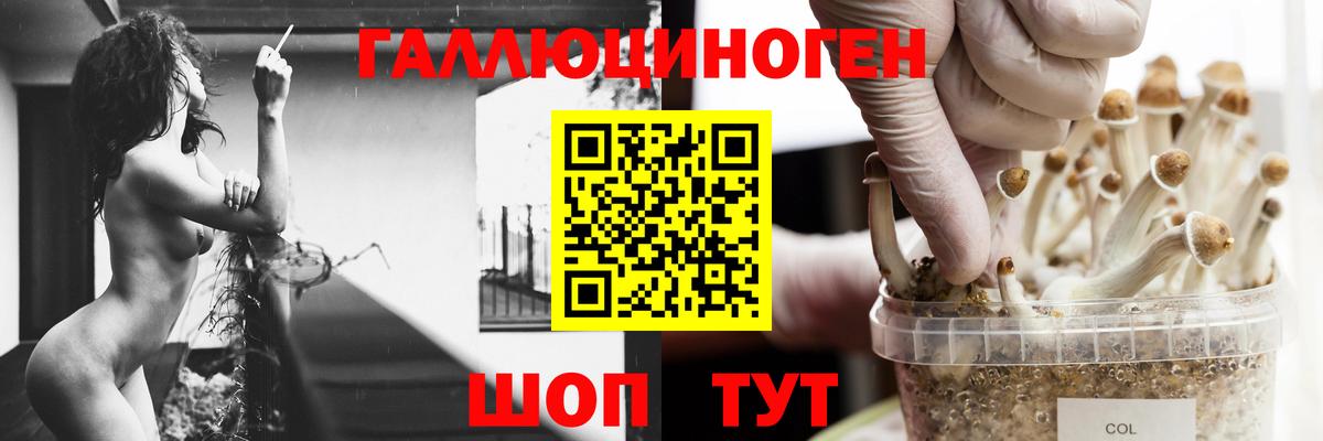 Галлюциногенные грибы GOLDEN TEACHER Протвино
